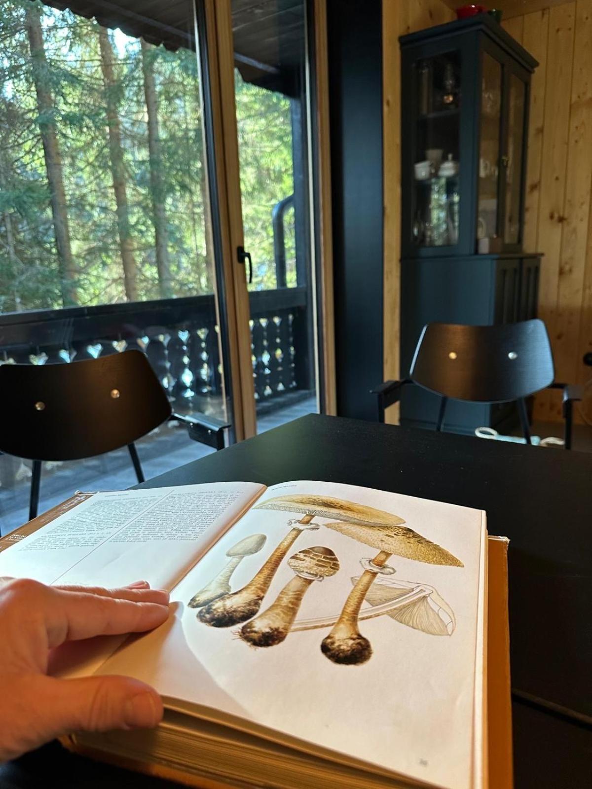 Cosy Lodge Pokljuka Goreljek Екстериор снимка