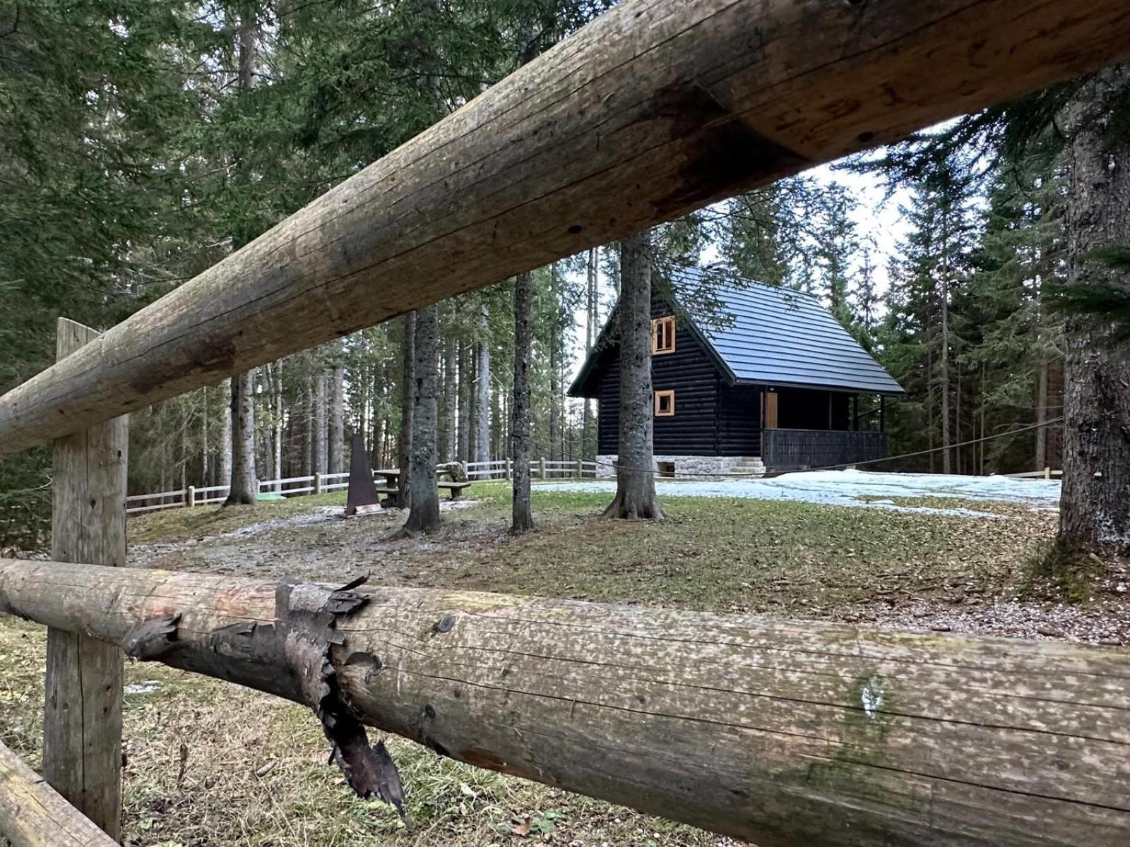 Cosy Lodge Pokljuka Goreljek Екстериор снимка