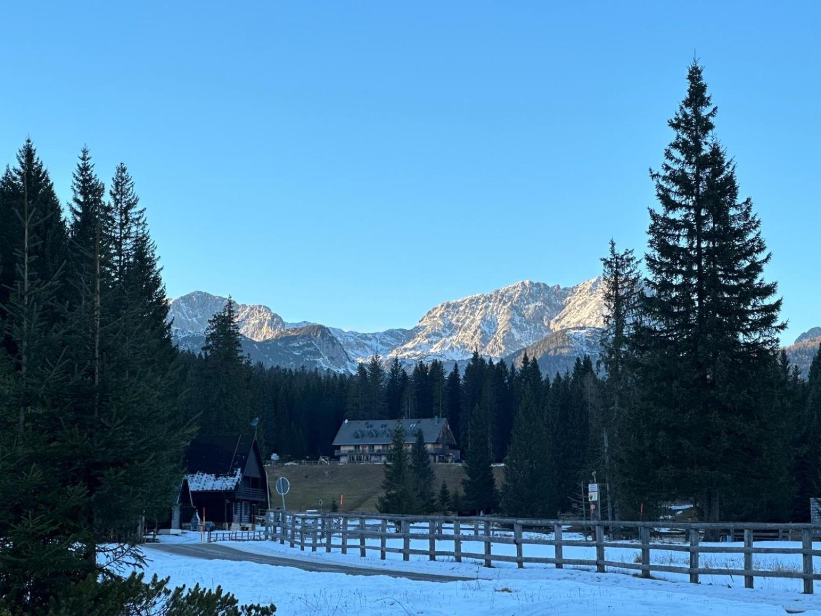 Cosy Lodge Pokljuka Goreljek Екстериор снимка
