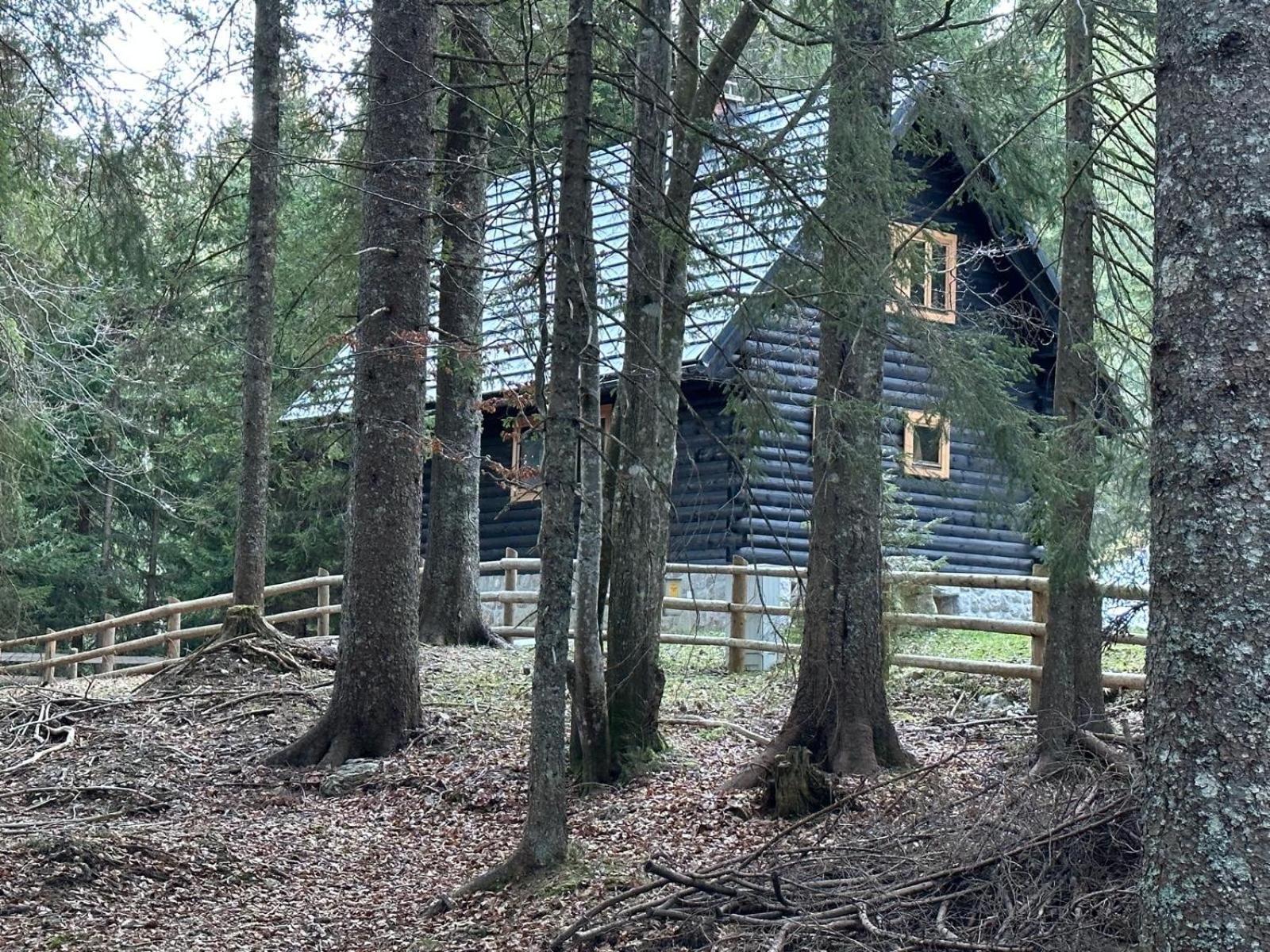 Cosy Lodge Pokljuka Goreljek Екстериор снимка