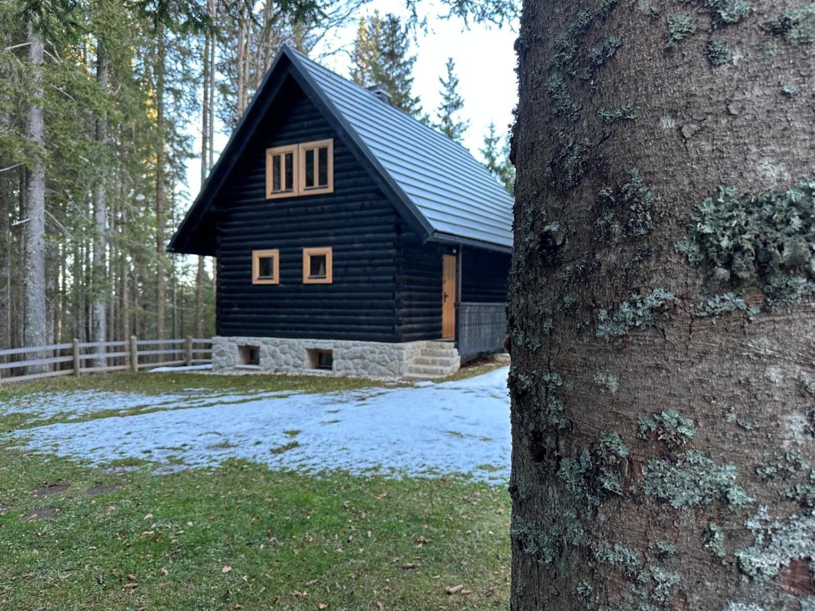 Cosy Lodge Pokljuka Goreljek Екстериор снимка